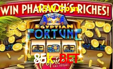 Experiência VIP 85k bet